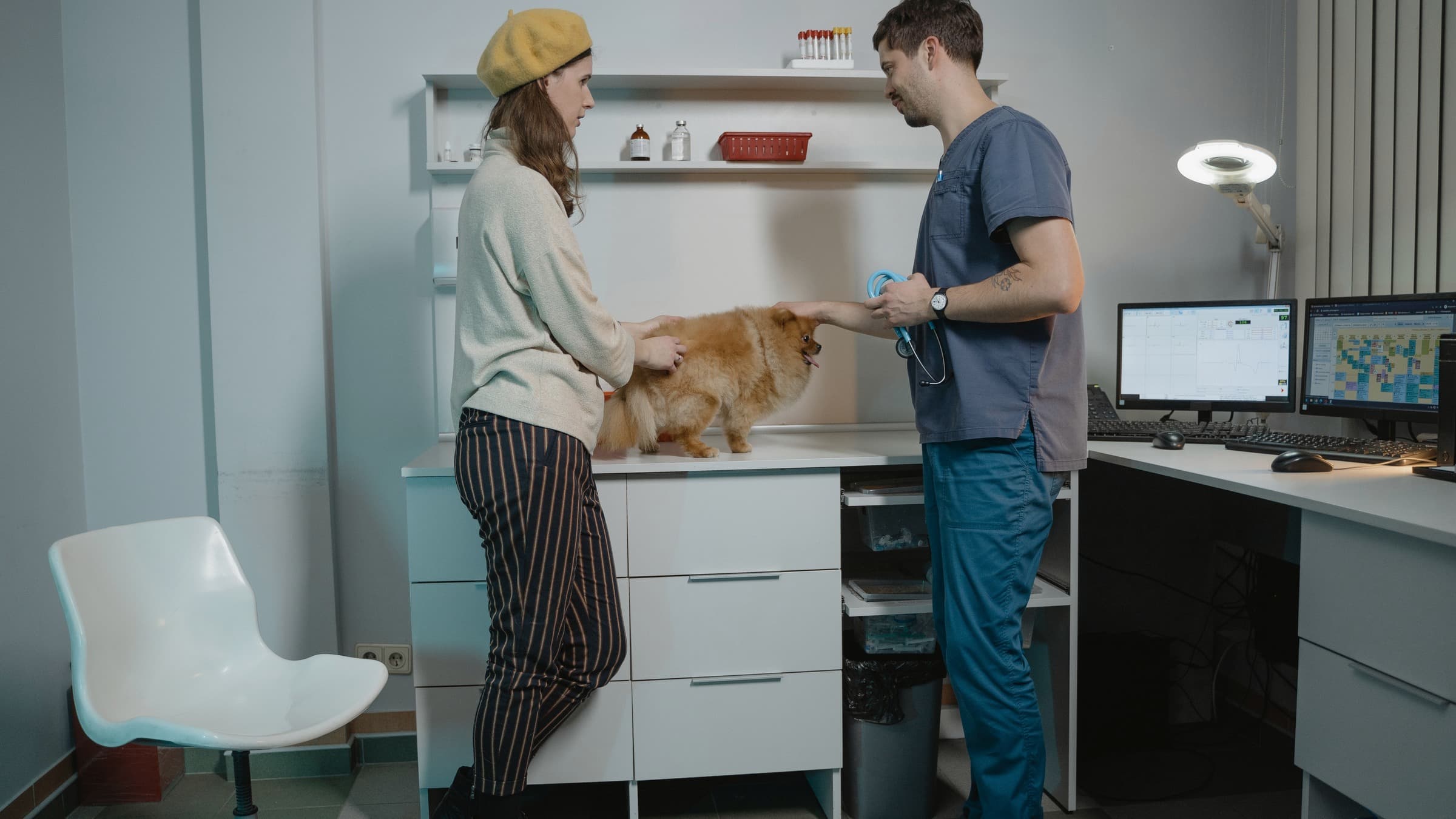 Veterinarian speaking with a pet owner beside a Pomeranian on an exam table